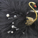 Swan, Black Feather