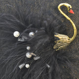 Swan, Black Feather
