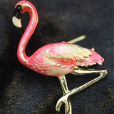 Flamingo, Pink