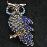 Owl, Large Blue