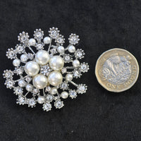 Snowflake, silver pearl crystal