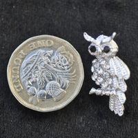 Owl, eyebrows silver miniature