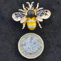 Bumble Bee, crystal stripe