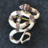 Snake, brown & Gold